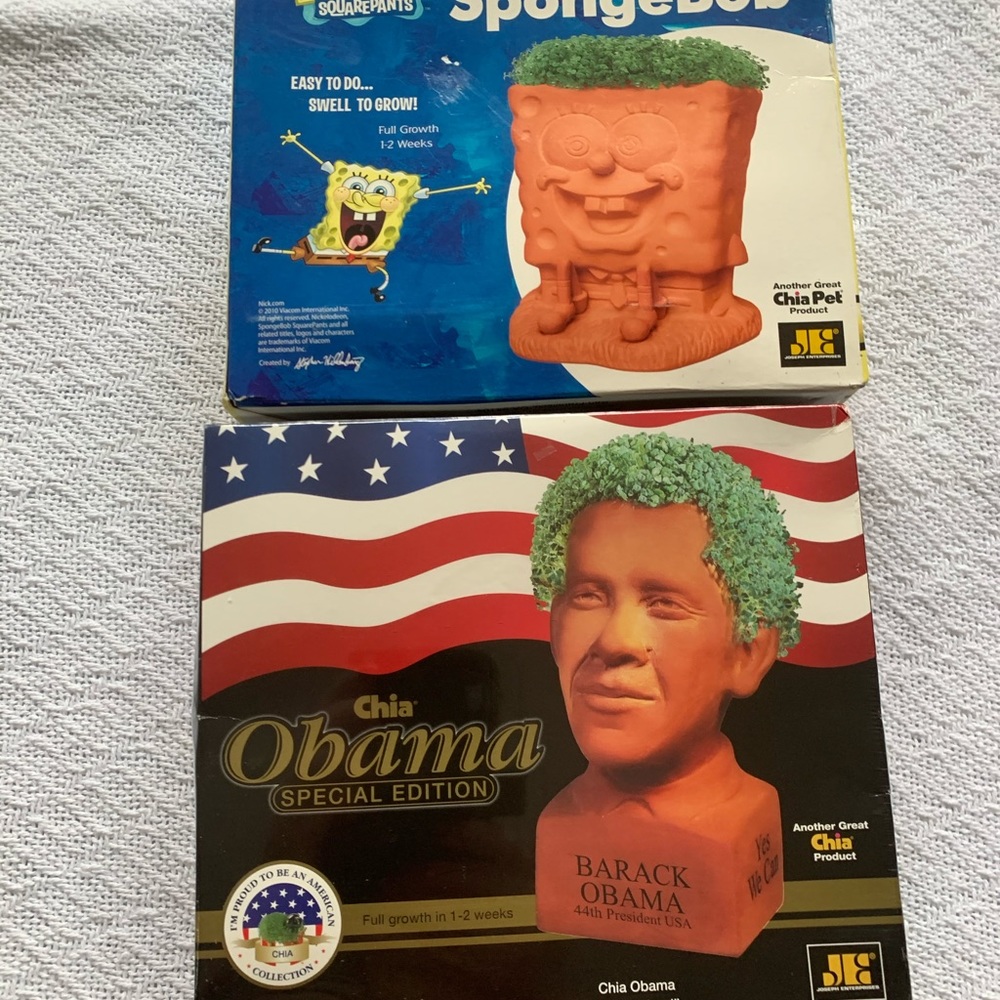 Chia decorative planter Batak Obama and Sponge Bob